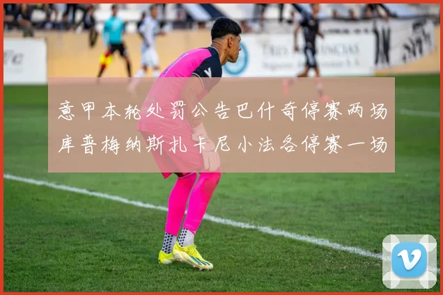 意甲本轮处罚公告巴什奇停赛两场库普梅纳斯扎卡尼小法各停赛一场