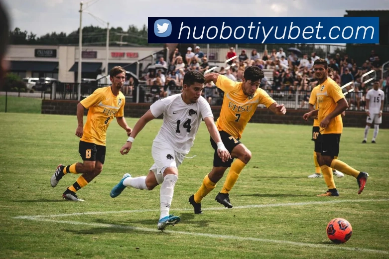 火博体育平台生态图